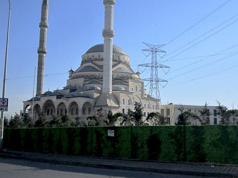 Çim Çit